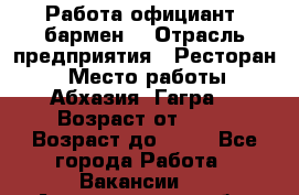 Работа официант, бармен  › Отрасль предприятия ­ Ресторан  › Место работы ­ Абхазия. Гагра  › Возраст от ­ 18 › Возраст до ­ 35 - Все города Работа » Вакансии   . Архангельская обл.,Мирный г.